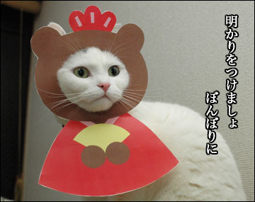 画像を拡大